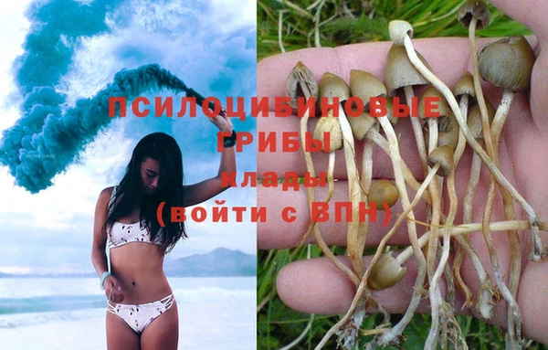 ГАЛЛЮЦИНОГЕННЫЕ ГРИБЫ Алзамай