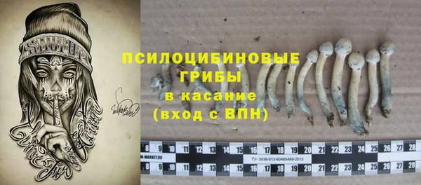 ГАЛЛЮЦИНОГЕННЫЕ ГРИБЫ Алзамай