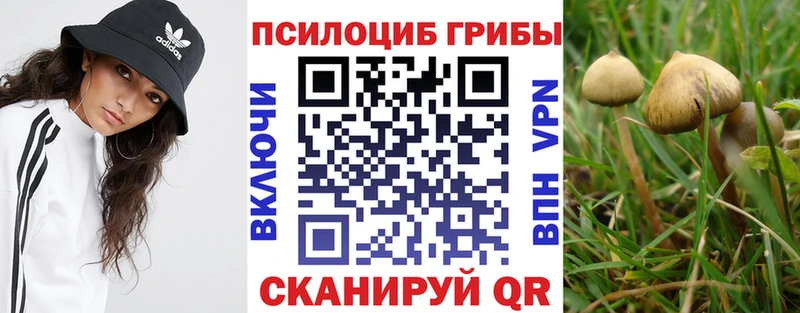 Галлюциногенные грибы Psilocybine cubensis shop состав Слюдянка где найти